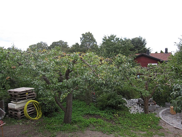 2011-09_07_ 214